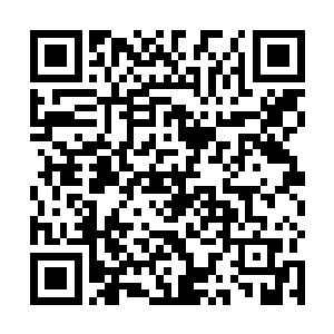 她心里是希望杨辰能与杨家与袁家的这些亲人好好相处二维码生成