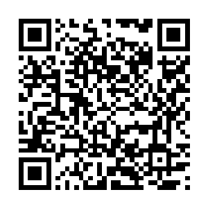 她心里竟然有一点儿要让隋立媛该想办法固固宠的意思了二维码生成