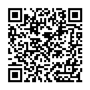 她怀里的喀秋莎就好无奈的撑住小脸蛋再叹口气二维码生成