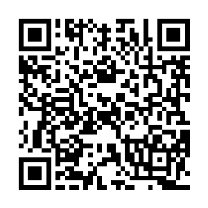 她怎么可能为了一个萍水相逢的人放弃自己所有的一切二维码生成