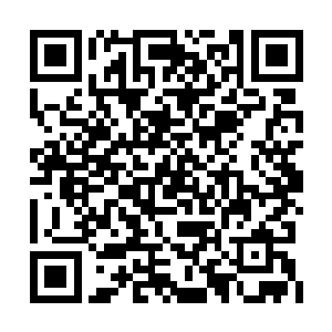 她总算是知道对方为什么一直盯着自己胸口看了二维码生成