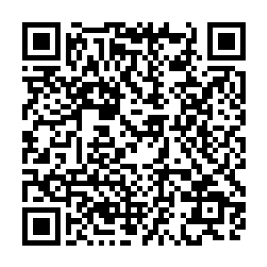 她想如果清乐被冻伤或者一个不慎掉坑里伤到了不会去找族长和祭祀告状吧二维码生成