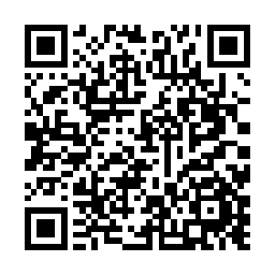 她想替她们家嫡长子求娶你……祖母还没有决定下来二维码生成