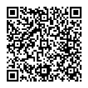 她想着自己的魔方是由好几个碎片组成…也就是说是在自己识海后才慢慢诞生出来的二维码生成