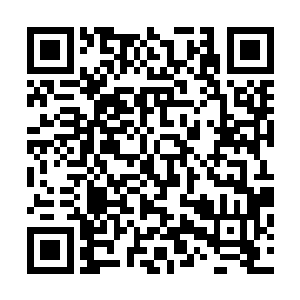 她想要解释她刚刚那么做是担心不死之心重新控制了楚清狂二维码生成