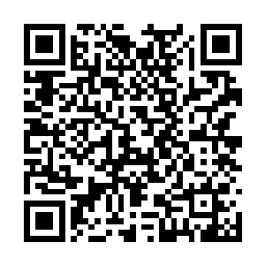 她感觉到原本因为十一种属性已经转化成混沌之力二维码生成