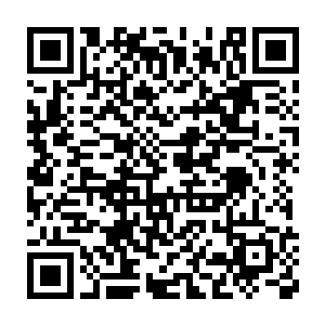 她感觉到被自己吸入体内的那缕紫级融合兽的融合气正在体内奔腾二维码生成