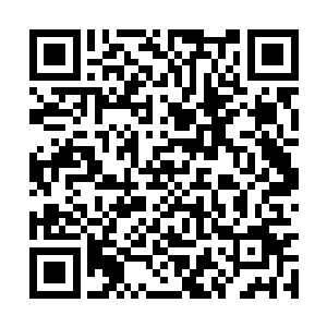 她感觉到跟随自己的天劫已经有着一种暴怒的情绪二维码生成