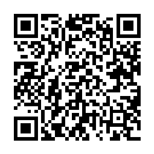 她愣愣的将对方上下打量了一通才有些不确定的喊了一声二维码生成