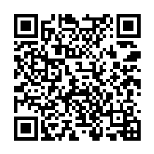 她手下的人用了这么短的时间就能找到小白的下落二维码生成