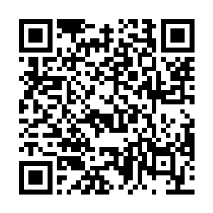 她才知道面前这个女孩子的茶道功夫是如何的完美高深二维码生成