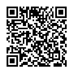 她打着呵欠昏昏欲睡的模样还是引起了一些人的不满二维码生成