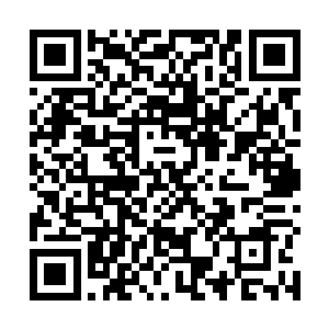 她找了一个偏僻的地方坐下来看着考生在综合学院里转二维码生成