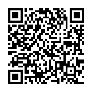 她把小巧的笼屉放锅中之后便走过来和水奴一起给红枣去核二维码生成