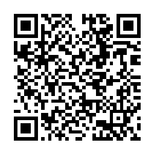 她把目标瞄准了秦洛这个人脉极广好像又不怎么缺钱的家伙二维码生成