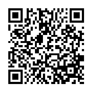 她担心边家二老会像影视剧里演的豪门家长那样挑剔二维码生成