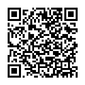 她拉着我就一起钻到了教学楼旁边的绿化林里面二维码生成