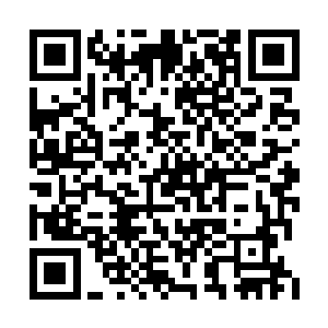 她早就应该以更积极更乐观更坚强的态度去面对二维码生成