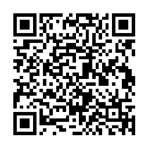 她明显感觉到自己对自然之灵的控制竟又精纯不少二维码生成