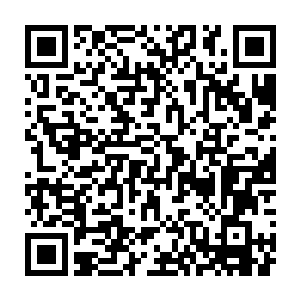 她是在收拾霓裳仙子遗物的时候发现的……她想的是万一对方不守诺言二维码生成
