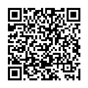 她是想将苍茫大陆一脉建立成一个许家特殊的存在二维码生成