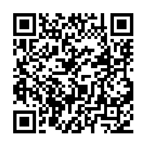 她是极不愿意看到范筱梵变成佛族真正的传承者二维码生成