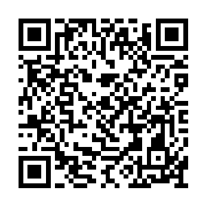 她是真的不想看到自己师傅和秦师兄对上的场面二维码生成