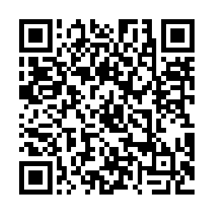 她更时不时地去骚扰那些正在与人族八品争斗的域主们二维码生成