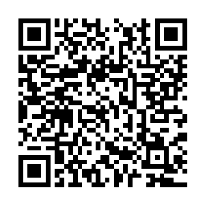 她曾定义林琳把王家榆邀请到家里合住是引狼入室二维码生成