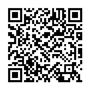 她曾经存在于这个世界上的所有的痕迹都消失了二维码生成