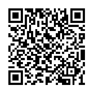 她有些怀疑自己以前教给班里小朋友的那些东西二维码生成