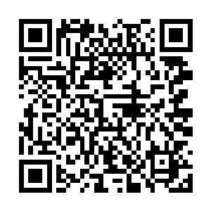 她有些结巴……刚才明明是对方快要将怪物杀死的二维码生成