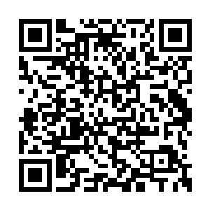 她本就不指望南宫夫人能够在短期之内接受她的二维码生成