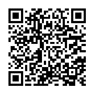 她本来以为凭借厉王府和天涯阁的势力对付这些人应该可以二维码生成