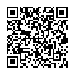 她比那个曾经教会自己认识草药的那个人还要厉害的多二维码生成