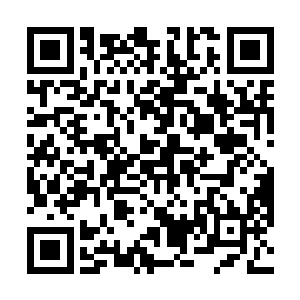 她没想到山本优希和武藤雪子居然连夜从岛国赶了回来二维码生成