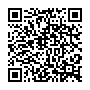 她没想到自己才刚刚进入任务第一天就遇上这样的劲敌二维码生成