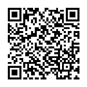 她没有丝毫后悔杀掉这个占据了苏佳怡身体的女人二维码生成