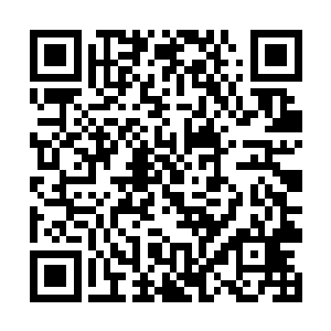 她没有想到会有那么多的仙君后期修士选择躲藏起来二维码生成
