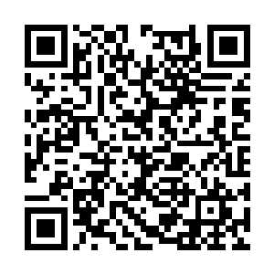 她没有想到这宝器拳一旦五属性俱都练到同一水平二维码生成