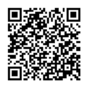 她没有想到这秦家的大小姐居然娇纵至如此地步二维码生成