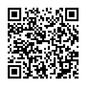 她没有跟别的人一样看到美丽的疾风貂就迈不开步二维码生成