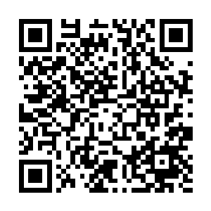 她渐渐发现唐铮似乎与以前认识的唐铮有了不少的变化二维码生成