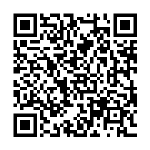 她焦急的表情在看见坐在高高的座椅上观赏舞姬的男人时收敛了二维码生成