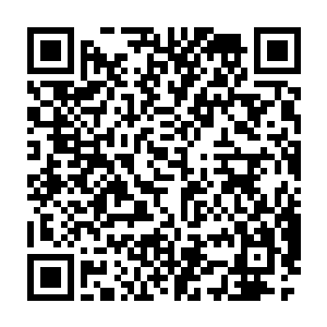 她猜测这应该是一个超越现在时空的高级文明投放在这里的一个试炼场二维码生成