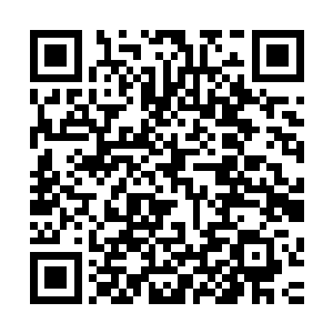 她现在完全被朱君玉背后那个神秘的吴默给引起了强烈的好奇二维码生成