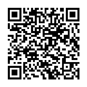 她现在还无法动用这笔庞大到令全大陆变色的资产二维码生成