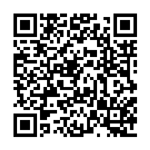 她甚至只是低头瞥了眼那些微微错愕的冬雷骑卒二维码生成