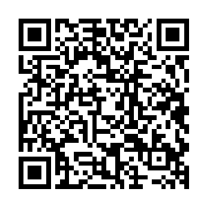 她甚至已经忘了自己是如何从那一片尸体的泥泞中生存过来的二维码生成