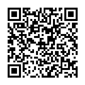 她甚至忘记了自己和夏天现在的关系只不过是假的二维码生成